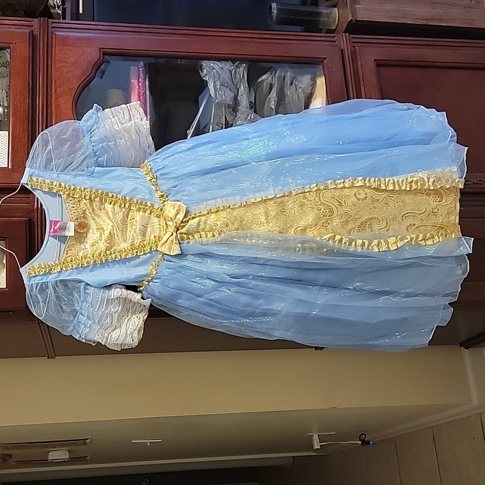 Disney Store Cinderella Deluxe Costume Gown GIRLS size M 7/8